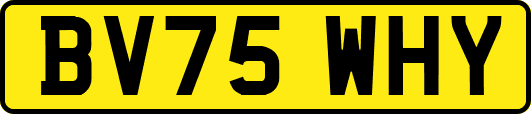 BV75WHY