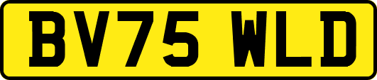 BV75WLD