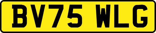 BV75WLG