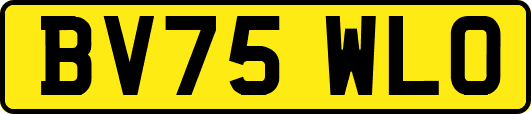BV75WLO