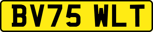BV75WLT