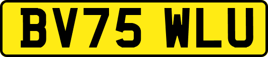 BV75WLU