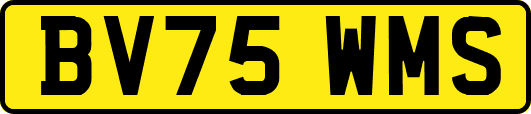 BV75WMS