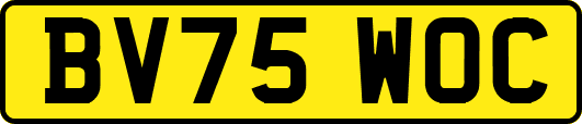 BV75WOC