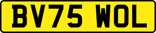 BV75WOL