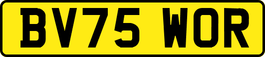 BV75WOR