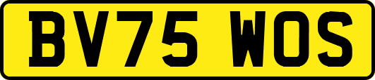 BV75WOS