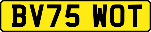 BV75WOT