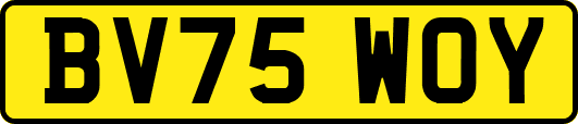 BV75WOY