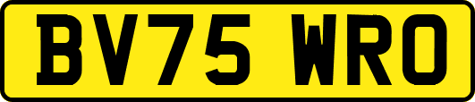 BV75WRO