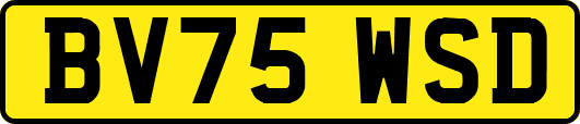 BV75WSD