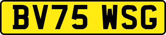 BV75WSG