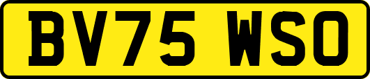 BV75WSO
