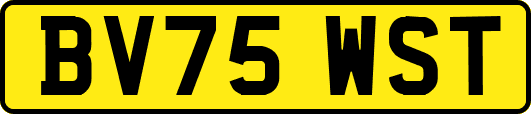 BV75WST