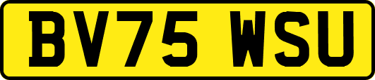 BV75WSU