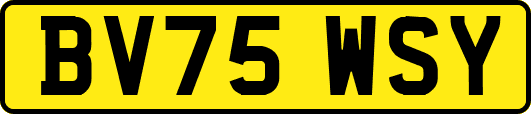 BV75WSY