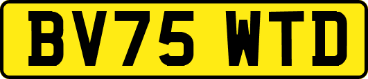 BV75WTD