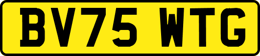 BV75WTG