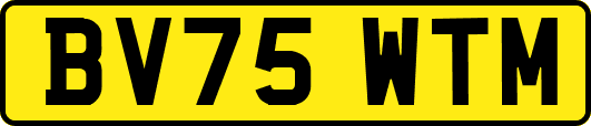 BV75WTM