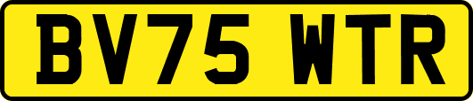 BV75WTR