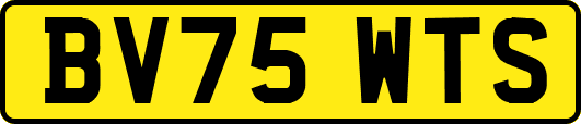 BV75WTS