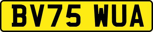BV75WUA