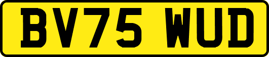 BV75WUD