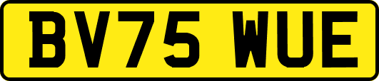 BV75WUE