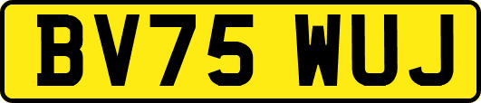 BV75WUJ