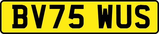 BV75WUS