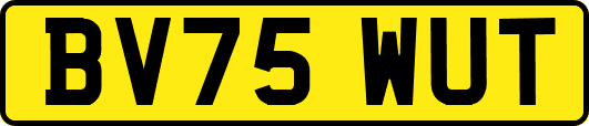 BV75WUT