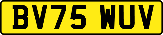 BV75WUV