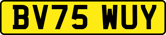 BV75WUY