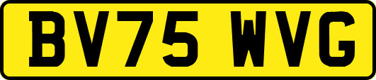 BV75WVG
