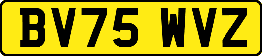 BV75WVZ