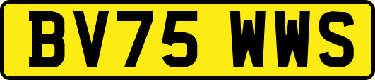 BV75WWS
