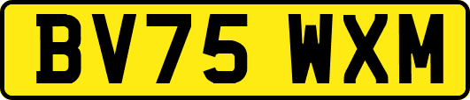 BV75WXM