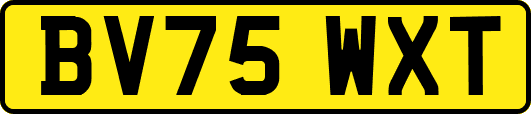 BV75WXT