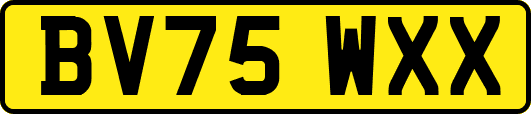 BV75WXX