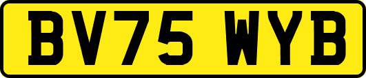 BV75WYB