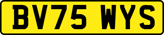 BV75WYS