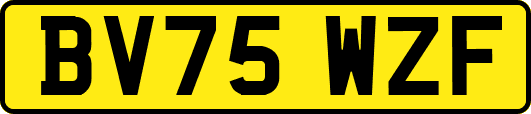BV75WZF