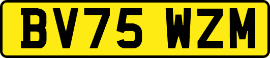 BV75WZM