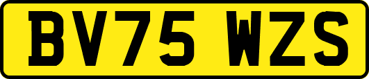 BV75WZS