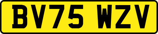BV75WZV