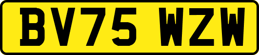 BV75WZW