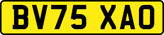 BV75XAO