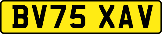 BV75XAV