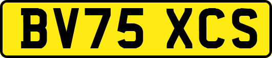 BV75XCS
