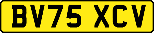 BV75XCV
